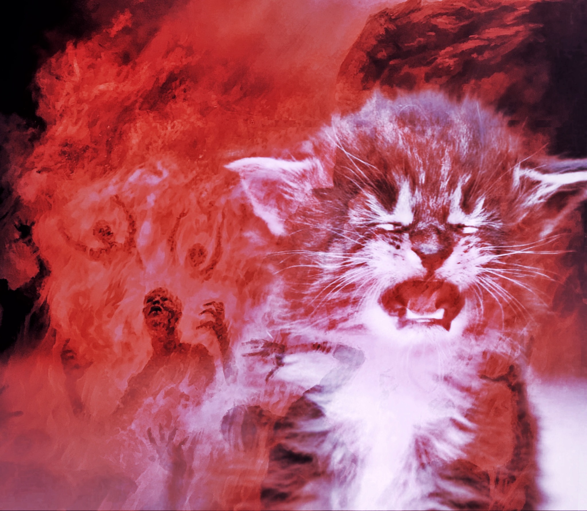 image of small kitten crying superimposed over the burning souls of the damned